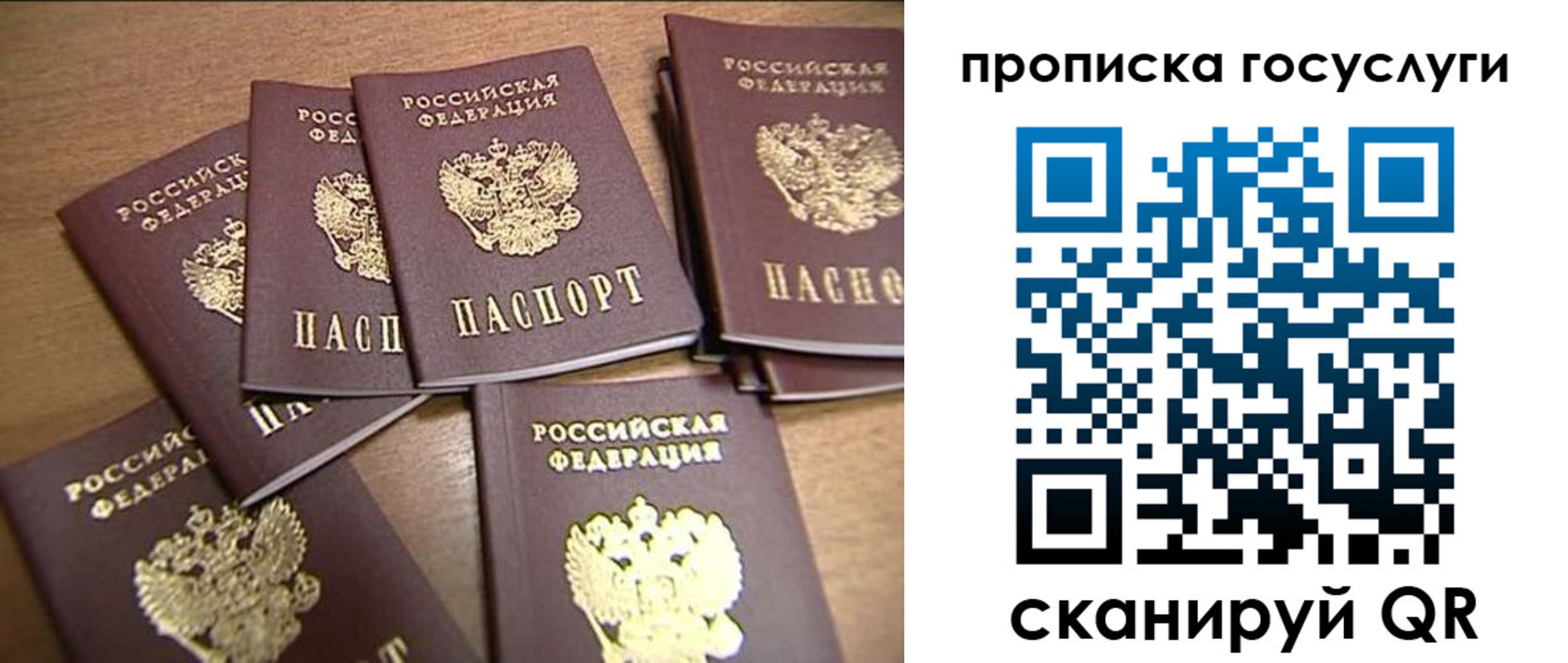 прописка ребенка в Гороховце